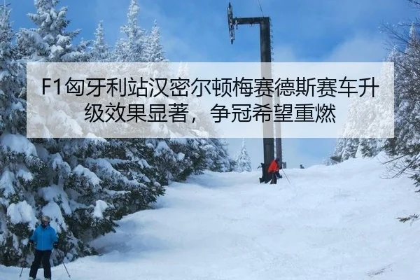 xiong-ya-li-zhan-han-mi-er-dun-mei-sai-de-si-sai-che-sheng-ji-xiao-guo-xian-zhu-zheng-guan-xi-wang-zhong-ran-2-403.jpg