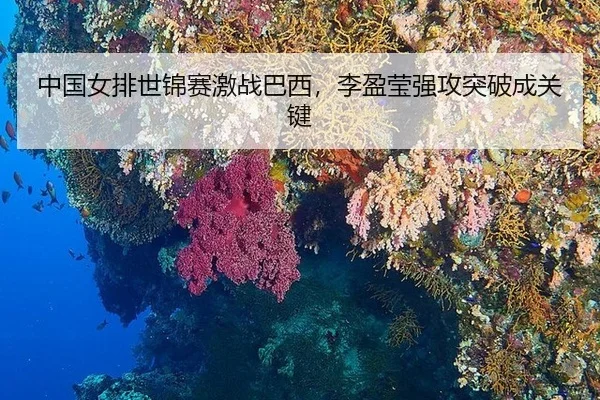 中国女排世锦赛激战巴西，李盈莹强攻突破成关键