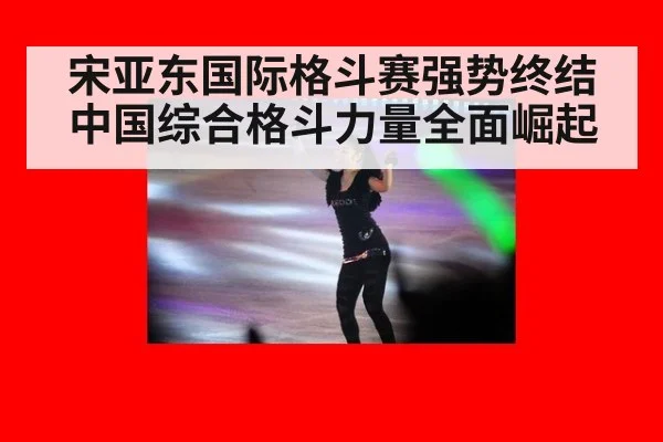 宋亚东国际格斗赛强势终结中国综合格斗力量全面崛起